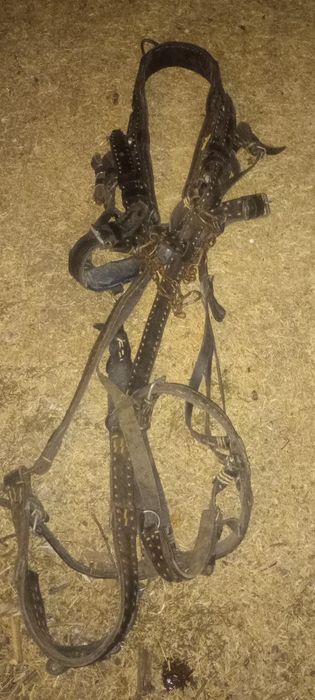 Vând Ham + căpăstru în stare foarte buna