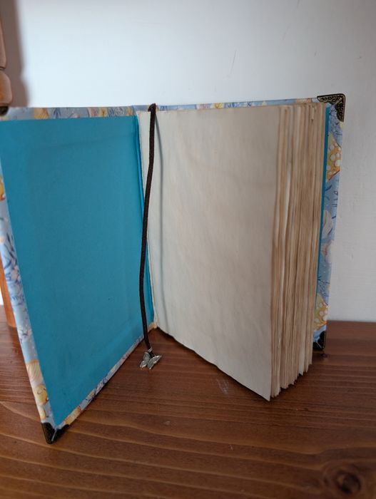 Jurnal/ caiet de notițe