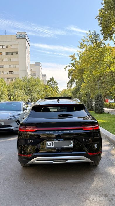 Byd chempion 605 tali full 2024 qora kraska tozza