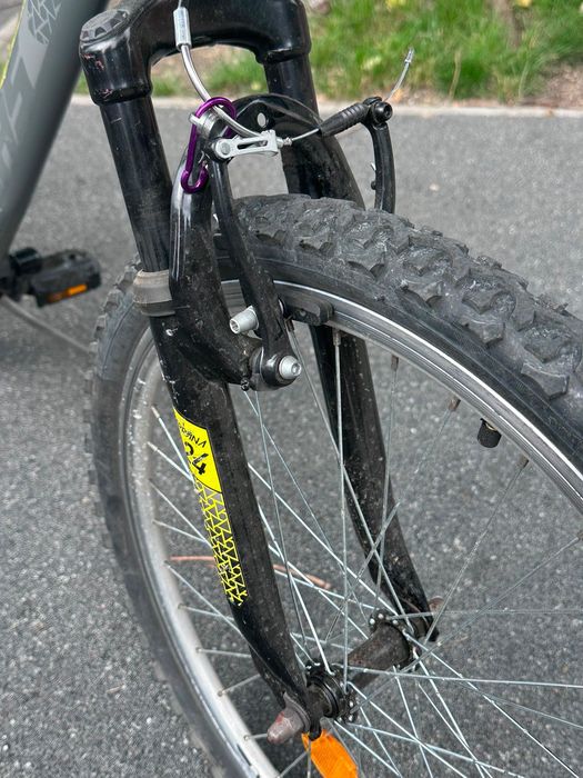 BicicletăDHScopii