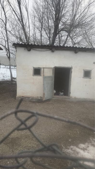 Фазенда на аренду и продажу