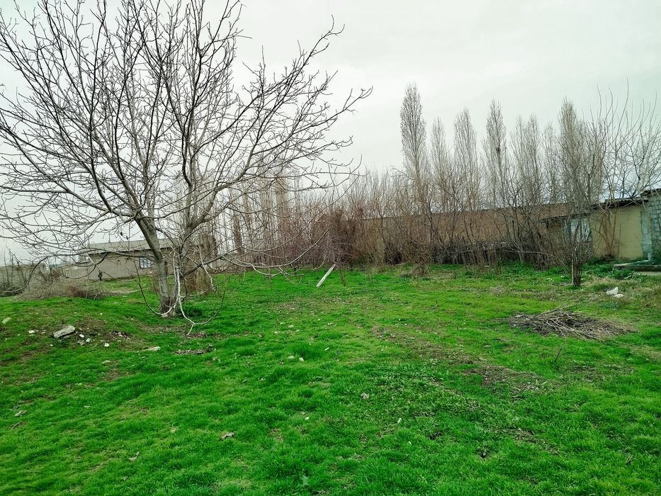 Участка 10 соток