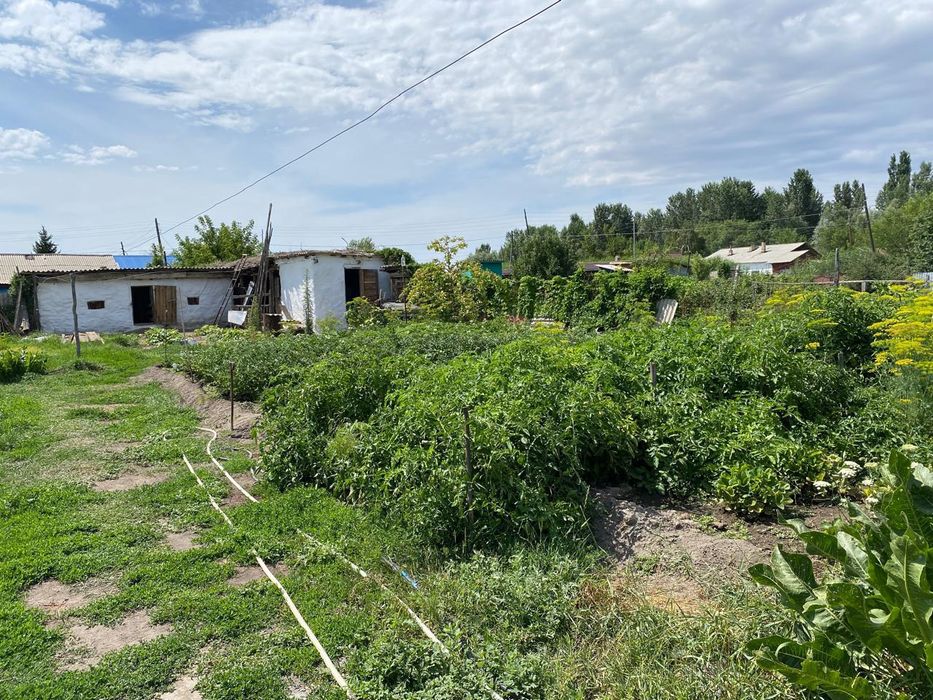 Продам дом в селе Курчум