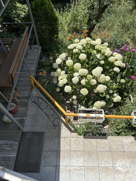 Дом - дача  микрорайон Нурлытау