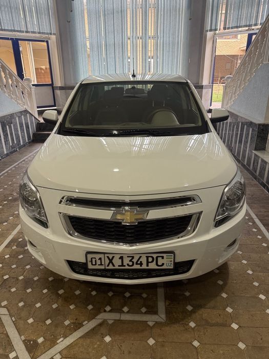 Oq  kobild 2024 yil avtamad karopka.