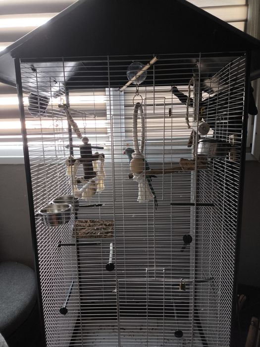 Клетка за папагал с папагал