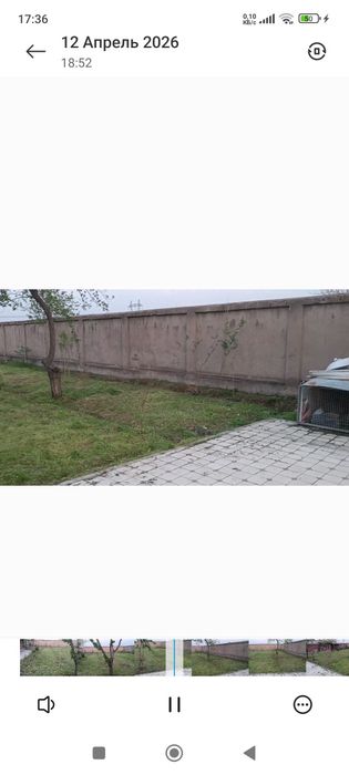 Тошкент вилояти Тойтепа Акмал Икром дала ховли
ҚУРУҚ ЙЕР, ТЕПЛИЦА ПАРН