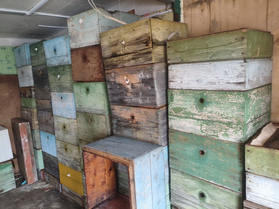 Пчелотара "Дадан".