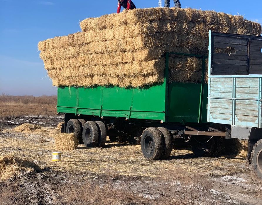 Сабан бар 400 тг ден