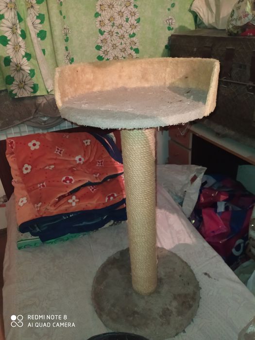 Когтеточка для кошек