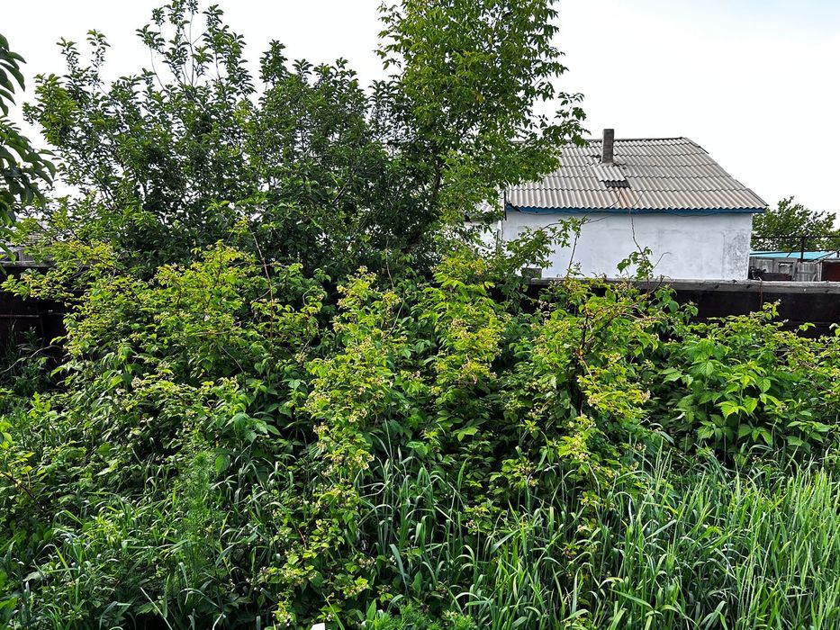 Дом в пос. Акбидай