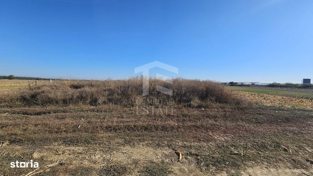 Copăceni - Ilfov - Teren intravilan arabil de vânzare - 1.148 mp