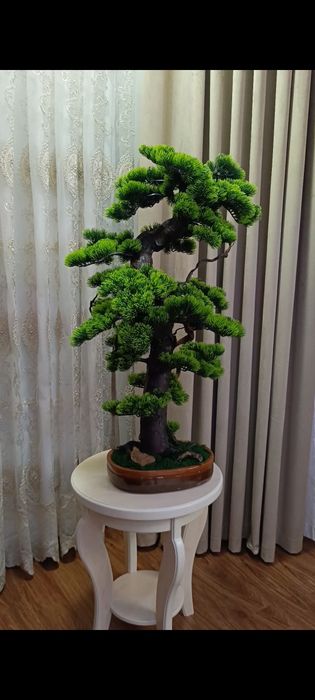 Бонсай из натуральных стволов!