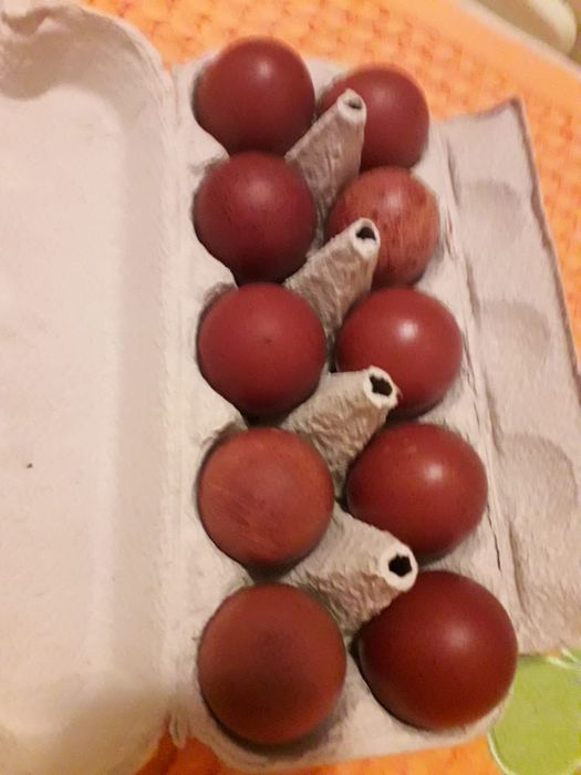 Cocoși marans  2026