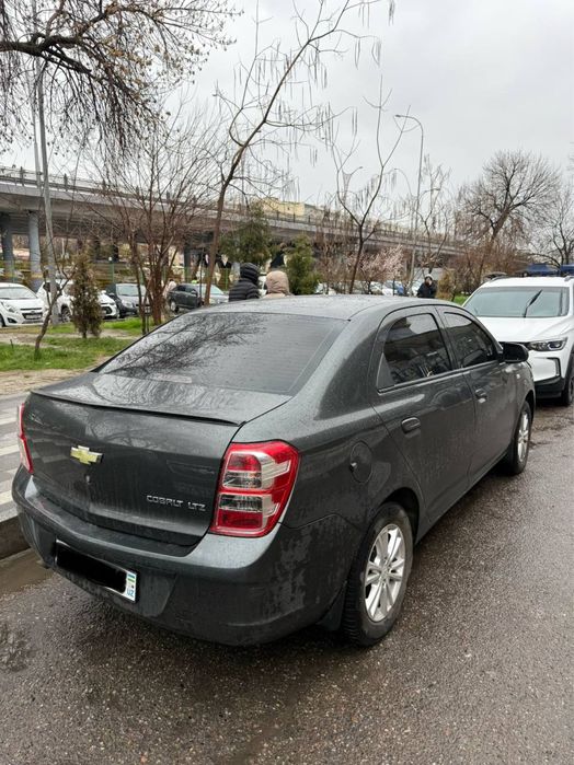 Cobalt arenda coblt arendaga beriladi ARENDA