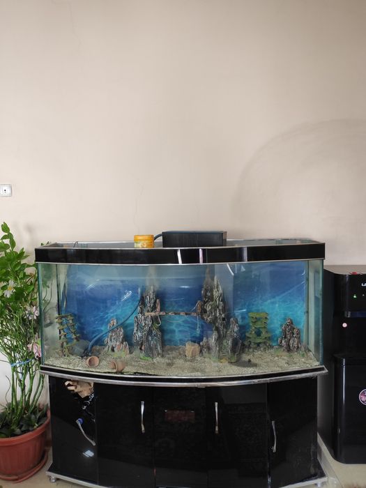 Аквариум очень удобный