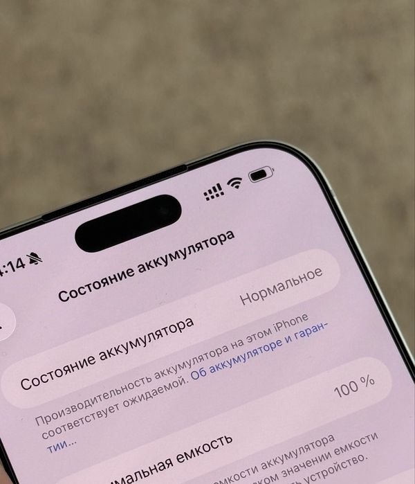 iPhone 17 Pro Max 256gb 100%