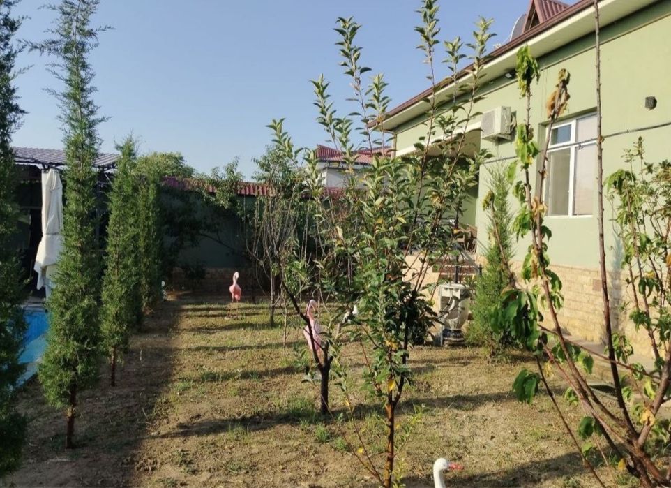 Аренда дом участок Янги Узбекистан Боги Парк 5 км можно под дачу