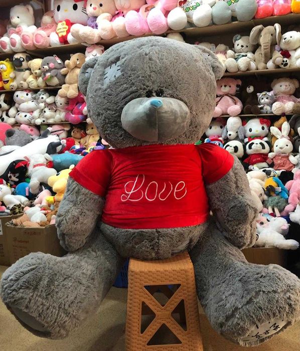 Teddy Мягкие Игрушки  40см - 180см