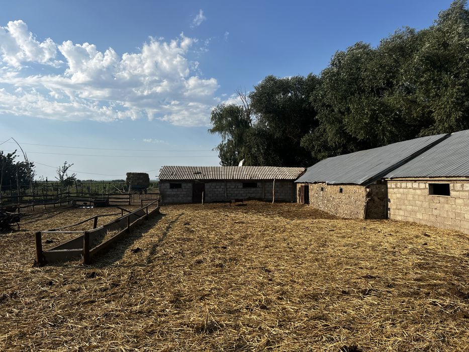 Продается Крестьянское хозяйство