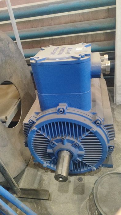 Электродвигатель ВЗИ 250х3000