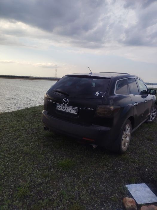 Продам красавчика