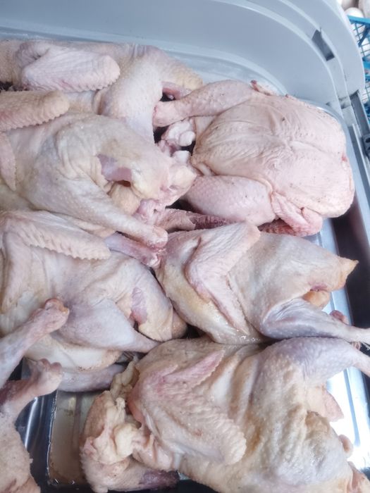 Домашние бульонные курочки