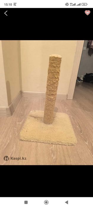 Когтеточка для кошки