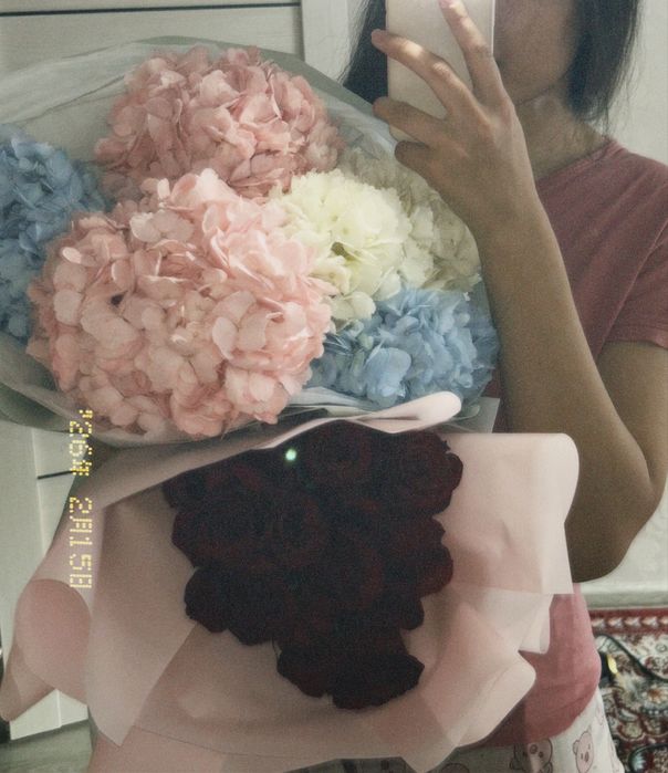 Алая роза ,пришел ночью,свежый