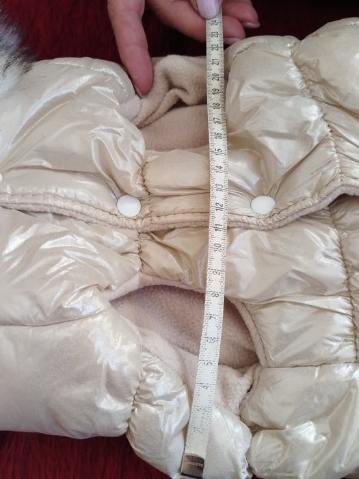 Елече за домашен любимец