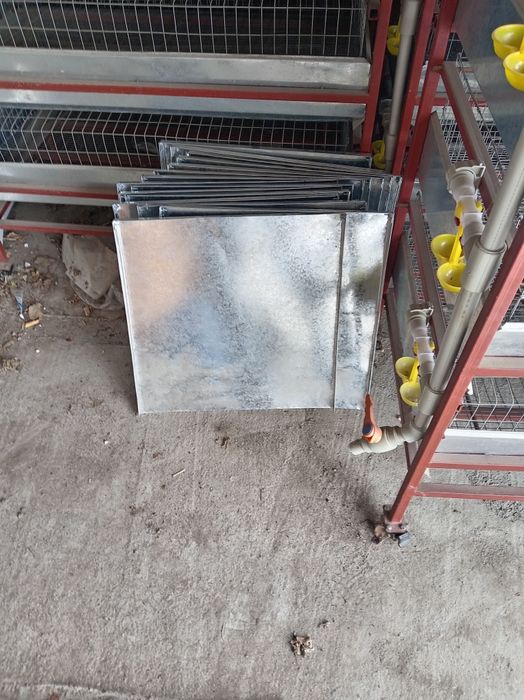 Паддоны для помета кур и перепелов