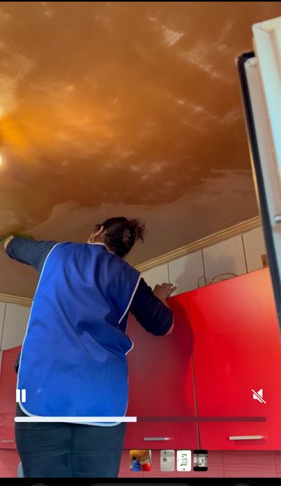 Curatenie generala  si intretinere