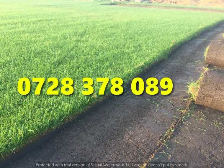 Gazon / Insamantare / Rulouri de Gazon