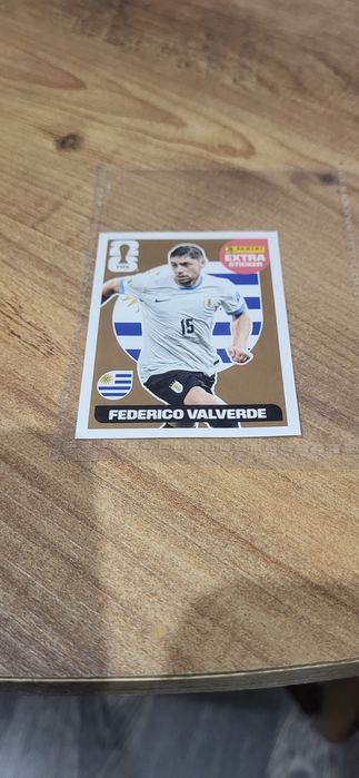 Panini extra sticker