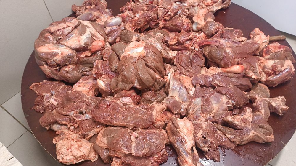 Мяса канины бесплатны даставка