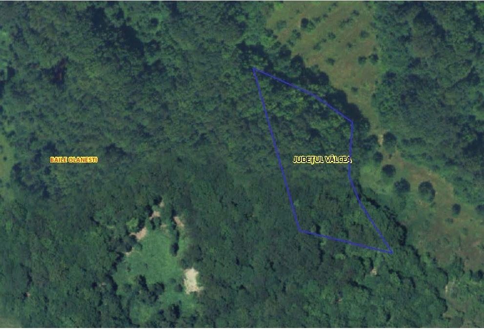 Padure jud Valcea - Baile Olanesti