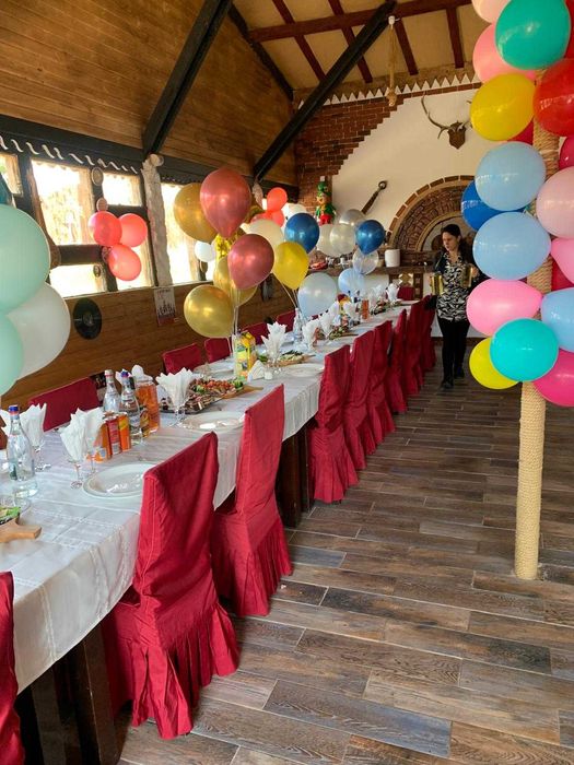 Foisor si cabana pentru petreceri