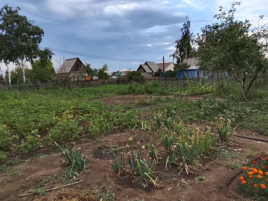 Продам дачу сад весна