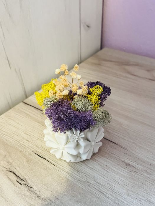 Кашпи със скандинавски мъх