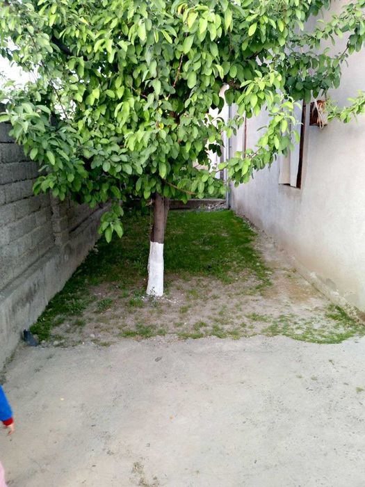 Продается дом с участком.