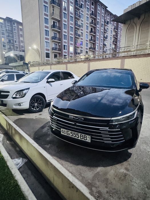 Byd chazor srochna