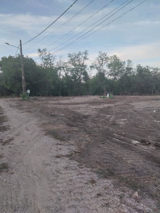 vand teren 1800mp - Teleorman - intravilan - utilitati