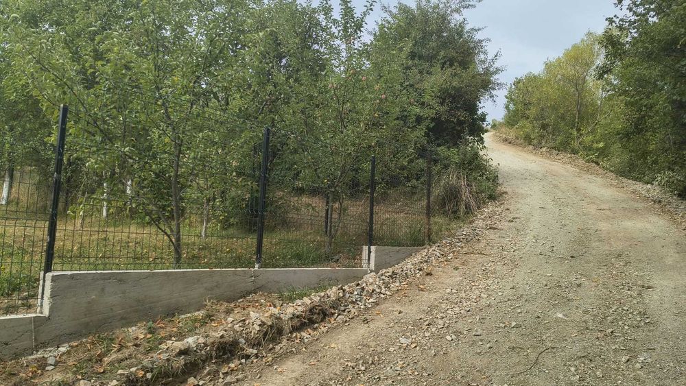 Teren de vanzare in Borsa, strada Malului, 28 ari, intravilan