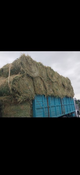 Сено люцерна жоношка урлон жоношка