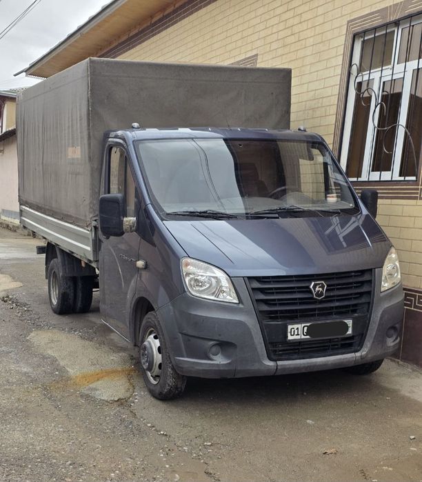 Gazel bortli 2019 yil