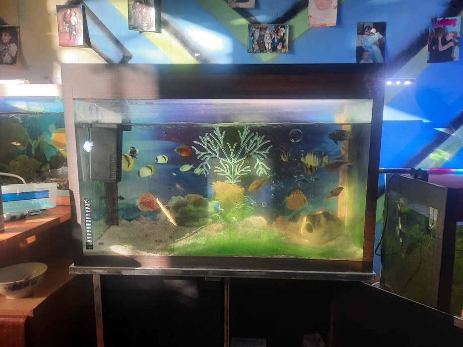 продаются аквариумы с рыбками