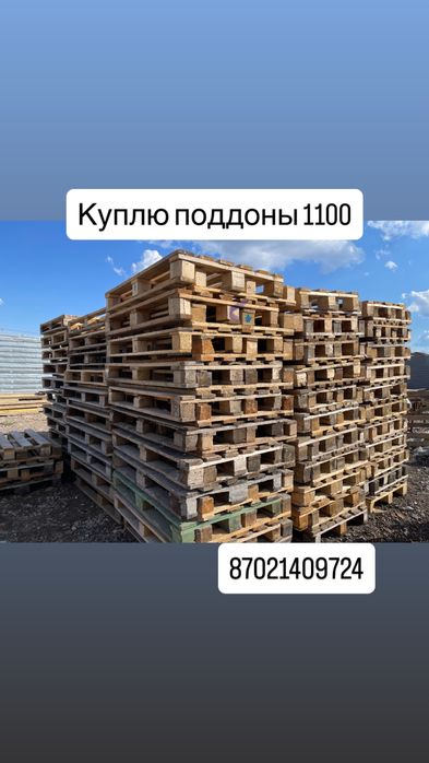 Прием поддоны палеты 120/80