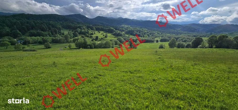 Teren extravilan de vânzare în Vama Buzăului, județul Brașov!