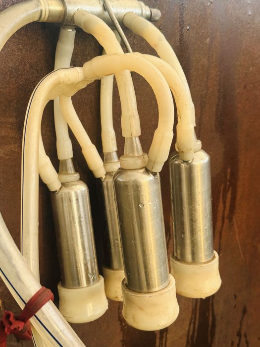 Доильный аппарат