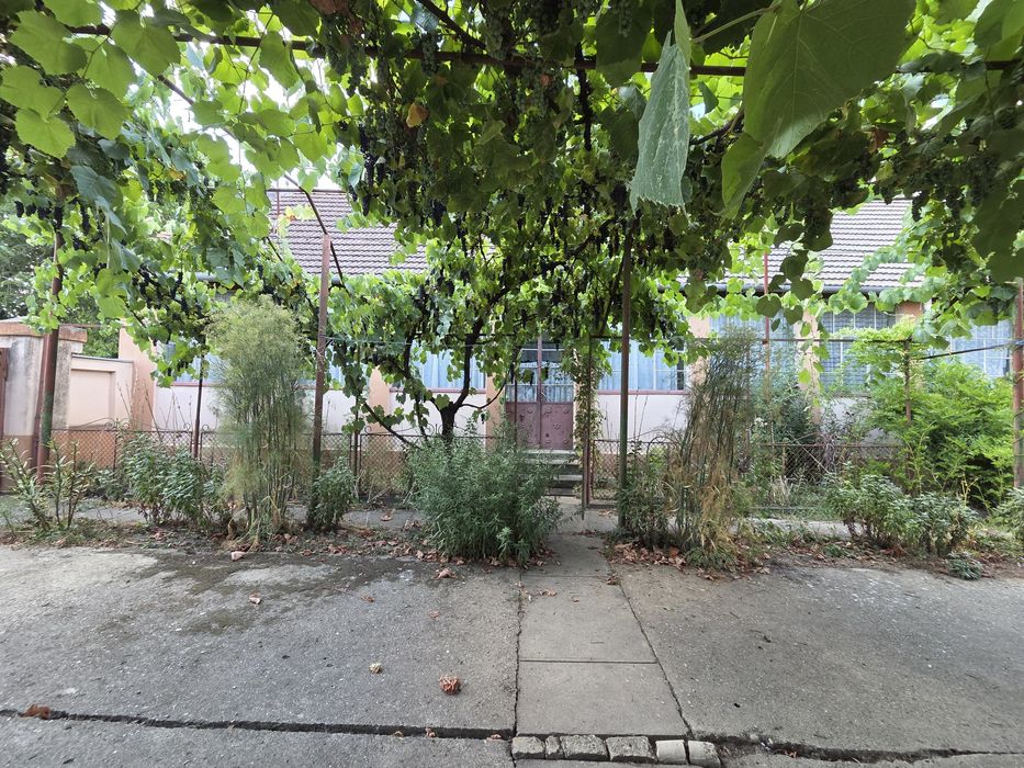 Vând casă in comuna Pădureni, 17 km de Timișoara. Citește cu atenție anunțul.